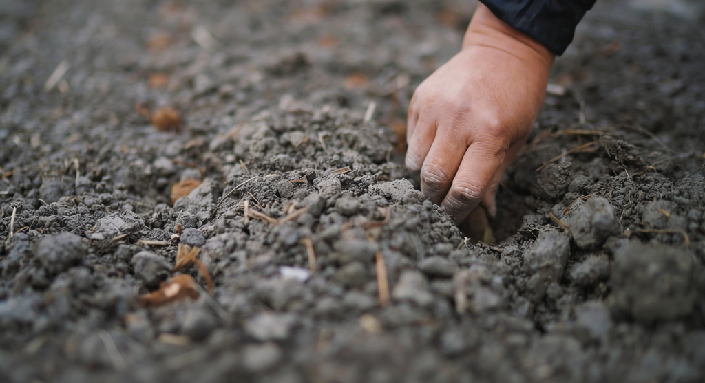 去除图片logo和文字背景